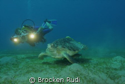 Turtle in the red sea by Brocken Rudi 